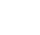 icon-optimized