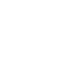 icon-optimized