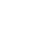 icon-optimized