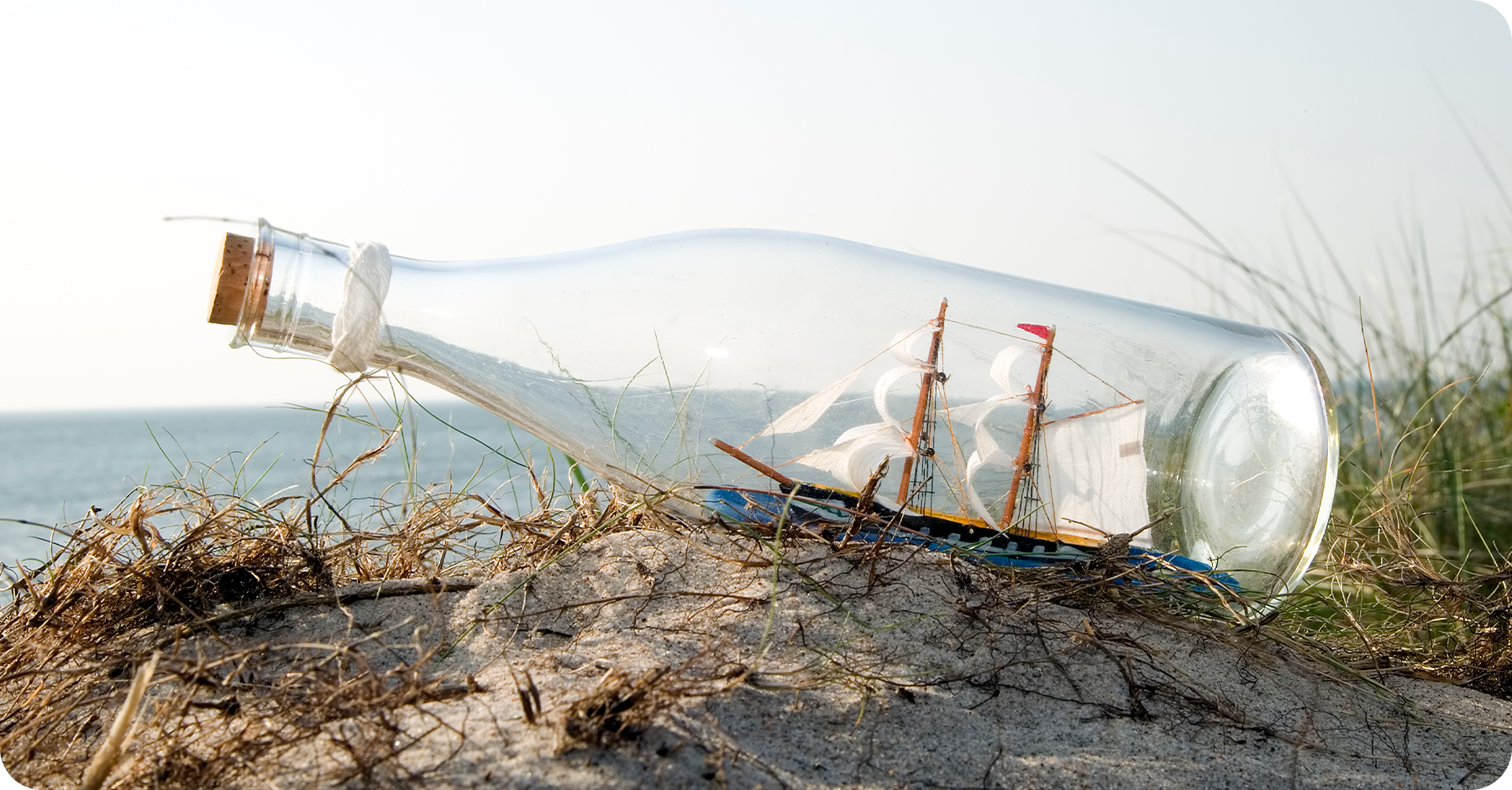 How to Master the Micro-Audit for High-Growth Innovation