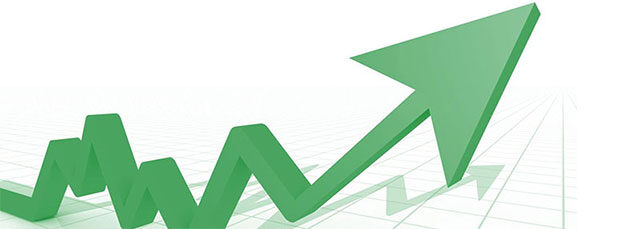 Innovation Processes Propel an Innovation Culture