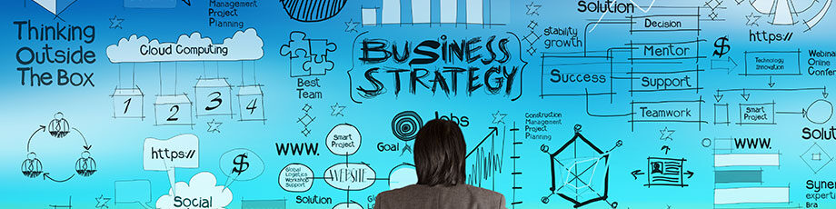 Overcoming Barriers to Sustainable Growth Through Innovation in Consumer Goods Markets: Making Product Portfolio Management Real