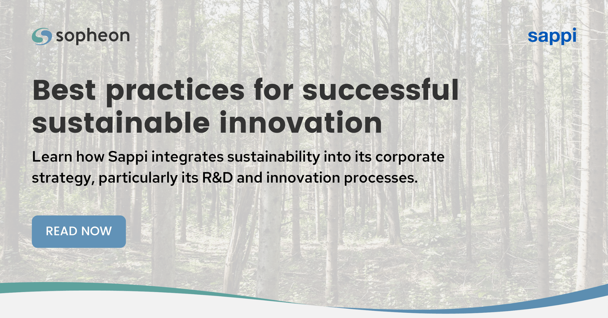 Sappi's best practices for successful sustainable innovation