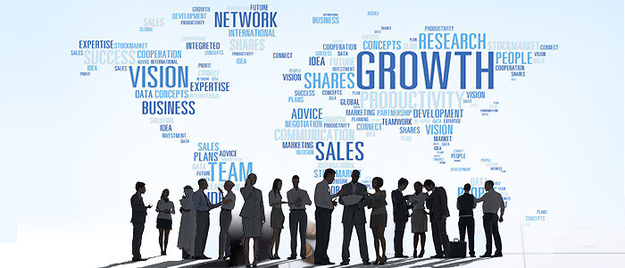 Think Big, Start Small and Grow Fast