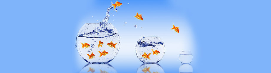 Strategic Portfolio Planning and Resource Prioritization