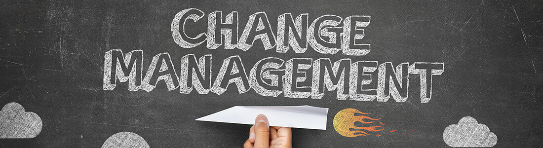 Change Management Amplifies Value