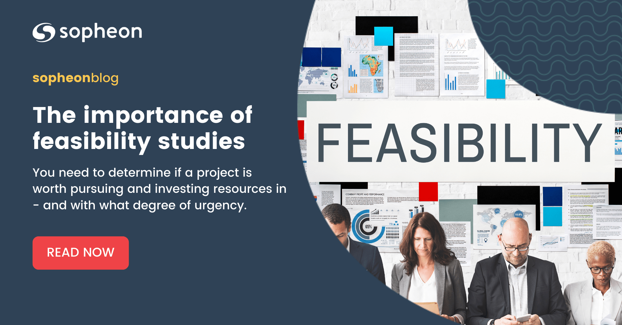 The importance of feasibility studies