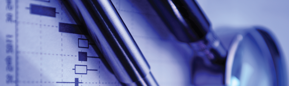 Portfolio Visibility: Do It First.